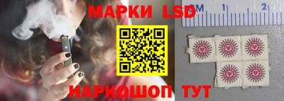 СК Донецк