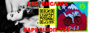 СК Донецк