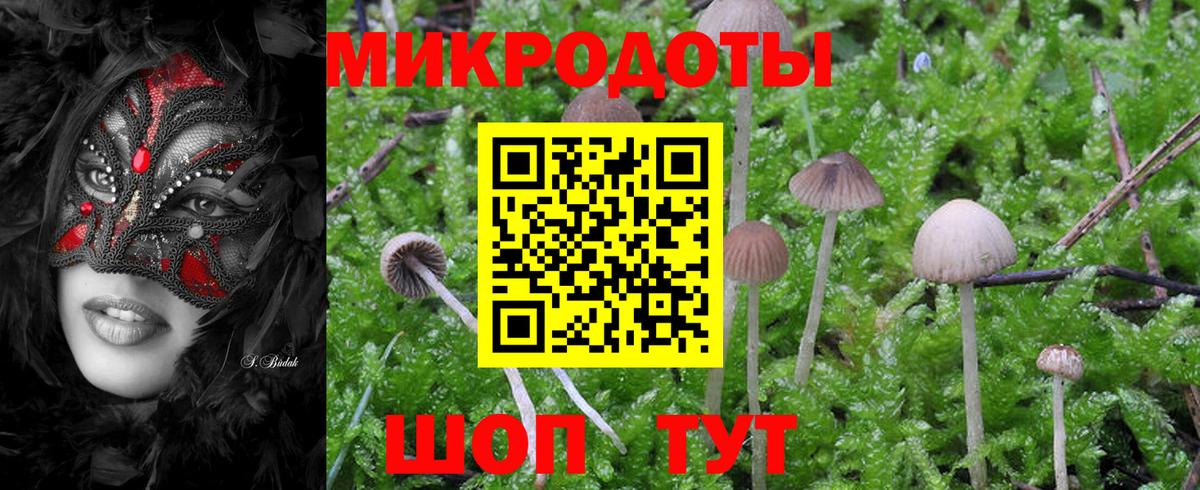 Гусев  Галлюциногенные грибы MAGIC MUSHROOMS  Вход с VPN 